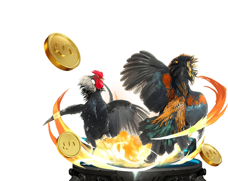 Hình ảnh về chiến lược đặt cược đá gà thông minh và an toàn